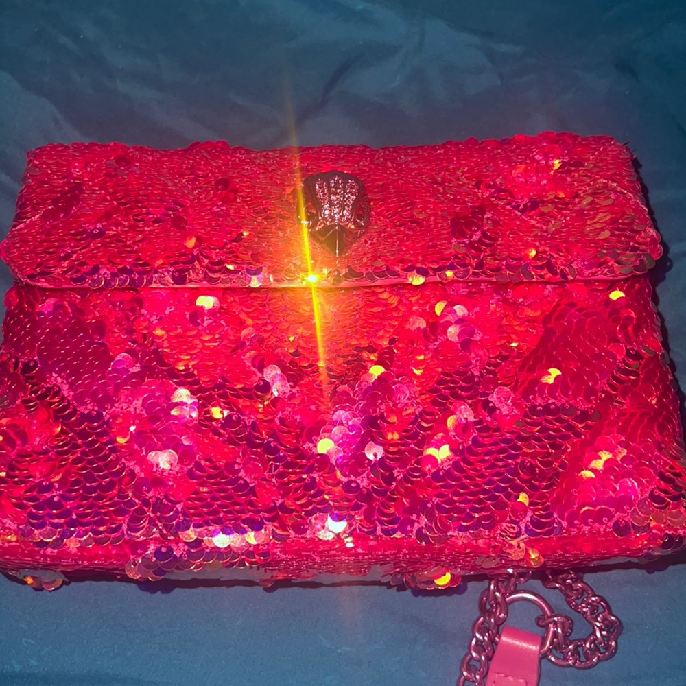 Kurt Geiger purse